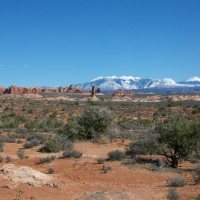 Arches National Park : How to fight a Mountain Lion?